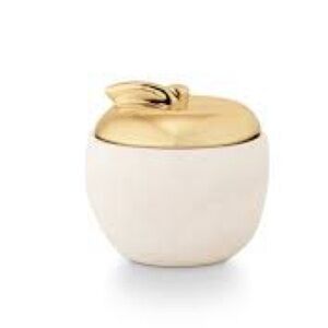 Tried & True Pumpkin Crabapple Ceramic Apple Candle 6.2 oz